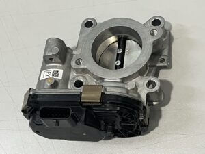 161207557R GAZ KELEBEĞİ