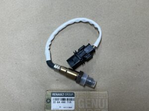 226A49071R OKSİJEN SONDASI